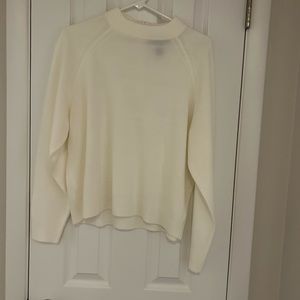 Karen Scott off white turtleneck sweater